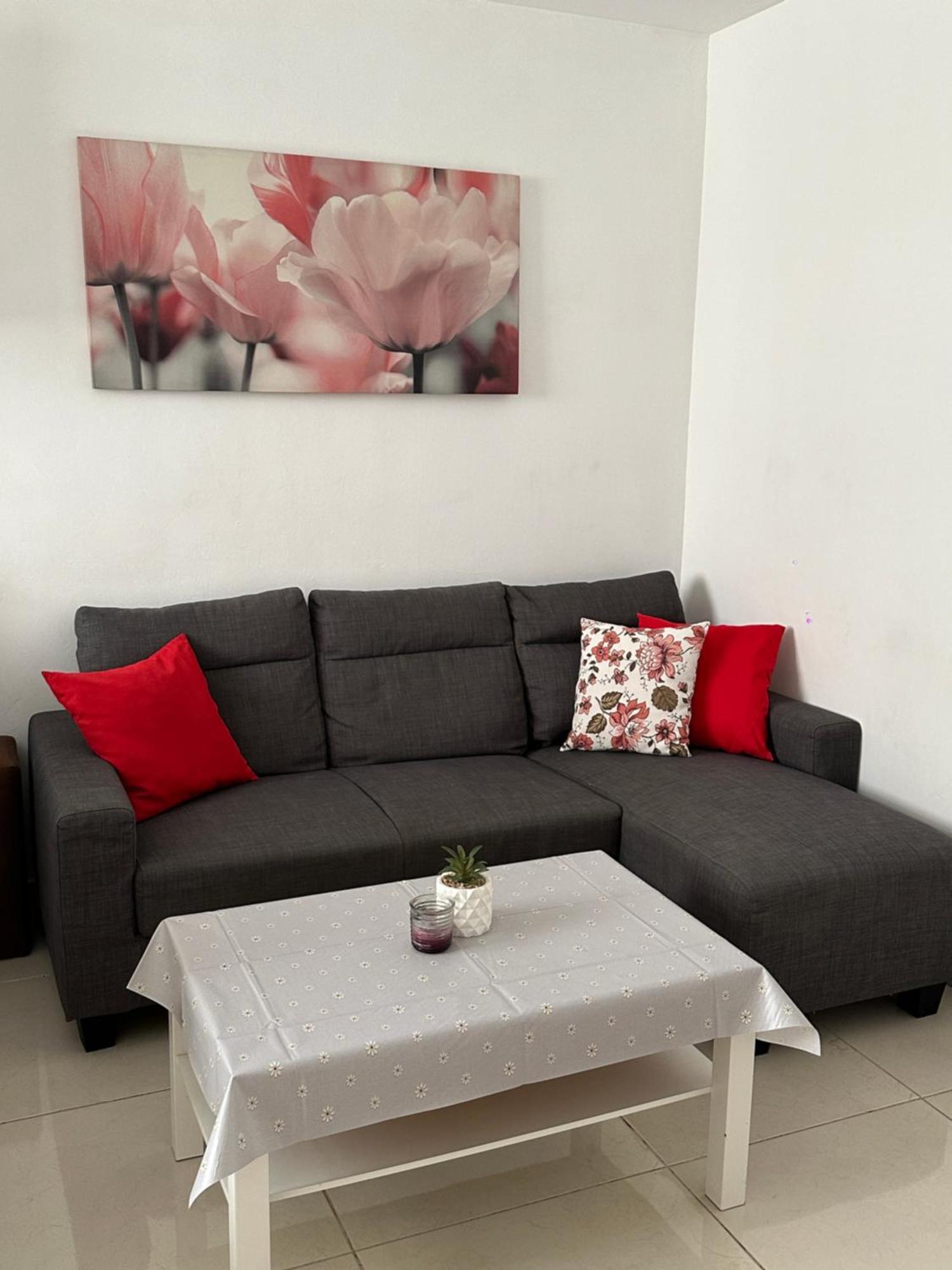 Modern And Bright 5 Bedroom Apartment Del Prado غانديا المظهر الخارجي الصورة
