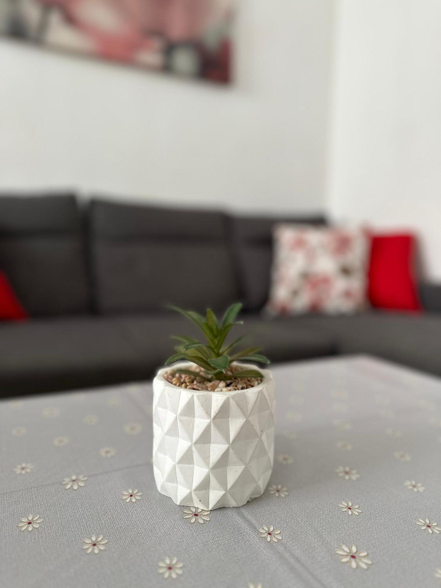 Modern And Bright 5 Bedroom Apartment Del Prado غانديا المظهر الخارجي الصورة